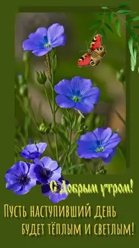 IMG-20210622-WA0002.webp