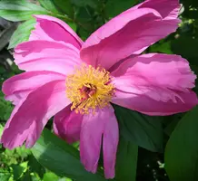 IMG_20210621_133840.webp