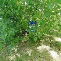 IMG_20210622_110601.webp