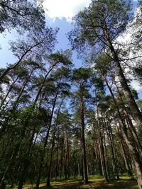 IMG-039459cf18602dbf066ffd5f59b5.webp