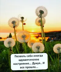 Screenshot_20210618_154956.webp