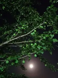 IMG-34f188e59af284da3e7d390ffed775c1-V.webp