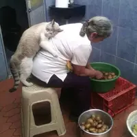 cJaFNiq_0Ec.webp