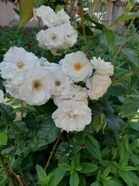 20210620_131112.webp