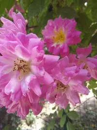 20210620_125108.webp