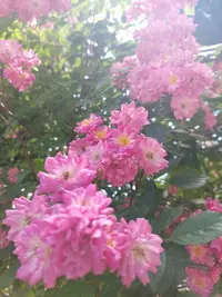20210620_125031.webp