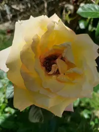 20210620_125653.webp