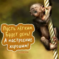 cf4648eae961c36742bdbb37f643184b.webp