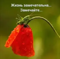 Screenshot_20210618_154940.webp