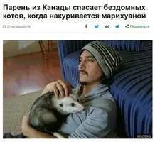1587794390193261869.webp