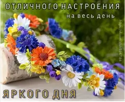 Screenshot_20210622_142116.webp
