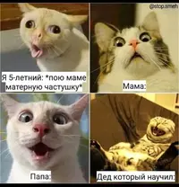 IMG_20210624_142353.webp
