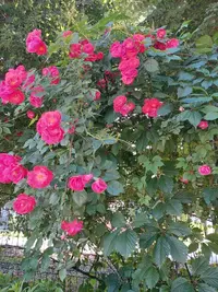 20210620_125209.webp