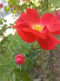 20210620_125139.webp