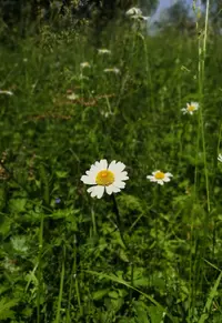 IMG_20210624_141948.webp