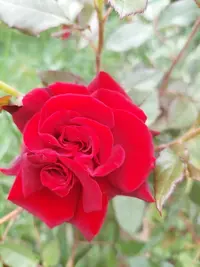 20210622_142028.webp