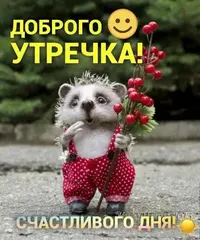IMG_20210625_072528_976.webp