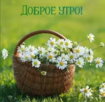 Screenshot_20210620_092100.webp