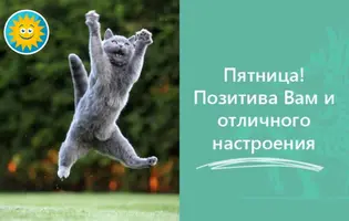 2021-06-25-11-22-57.webp