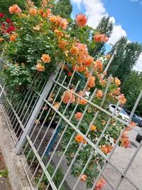 20210616_135416.webp
