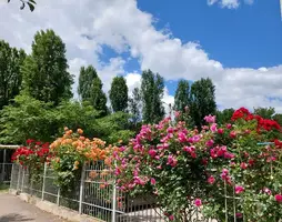20210616_135320.webp