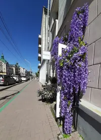 Screenshot_20210625-180721_Gallery.webp