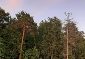 20210625_211925.webp