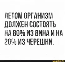 IMG-cea5600c4dd1d523859997cb86ce6729-V.webp