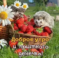 Screenshot_20210625_125458.webp