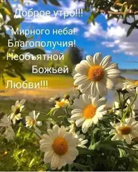 IMG-20210626-WA0001.webp