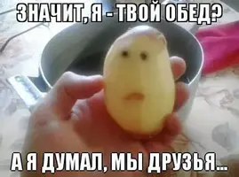 1-59.webp