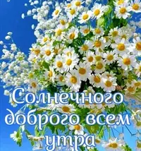 XWqC582RSio.webp