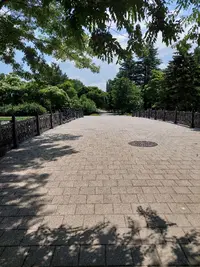 20210626_123808.webp