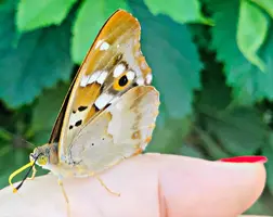 B6381275-C02E-4626-ABC8-7CE76595704F.webp