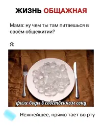 Q8xYfHR2nW0.webp