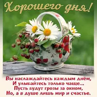 IMG-64e517752e2b9903a90776c68b34c07b-V.webp