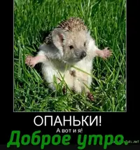 IMG_20210625_072522_943.webp