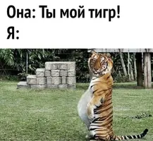 IMG_20210621_114508_597.webp