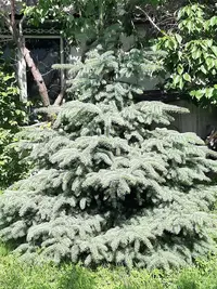 IMG-20210627-WA0000.webp