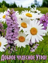 IMG-a75b37ef2aa4721a3f91808f4d59959c-V.webp