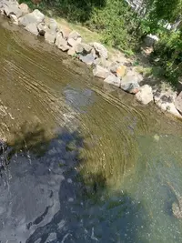 20210628_143001.webp
