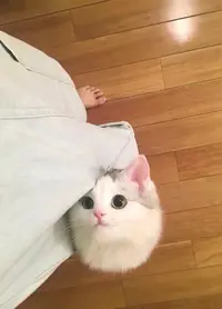 8WqDfh6LgZw.webp