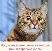 Screenshot_20210630_075405.webp