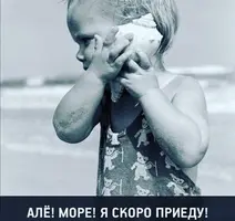 vq6GEJao8K4.webp