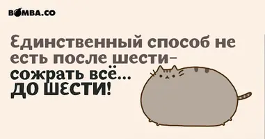 unnamed (2).webp