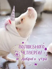 db2a24b98f63e8fbb5fd28282f280fea.webp