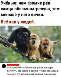 Screenshot_20210701_093234.webp
