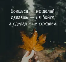 b71baa5a470200b8b6ea7b661fff0462.webp