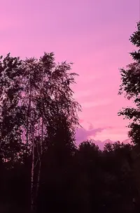 20210702_015822.webp