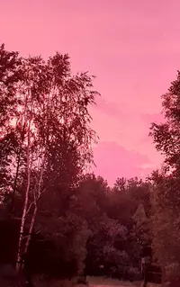 20210702_015037.webp